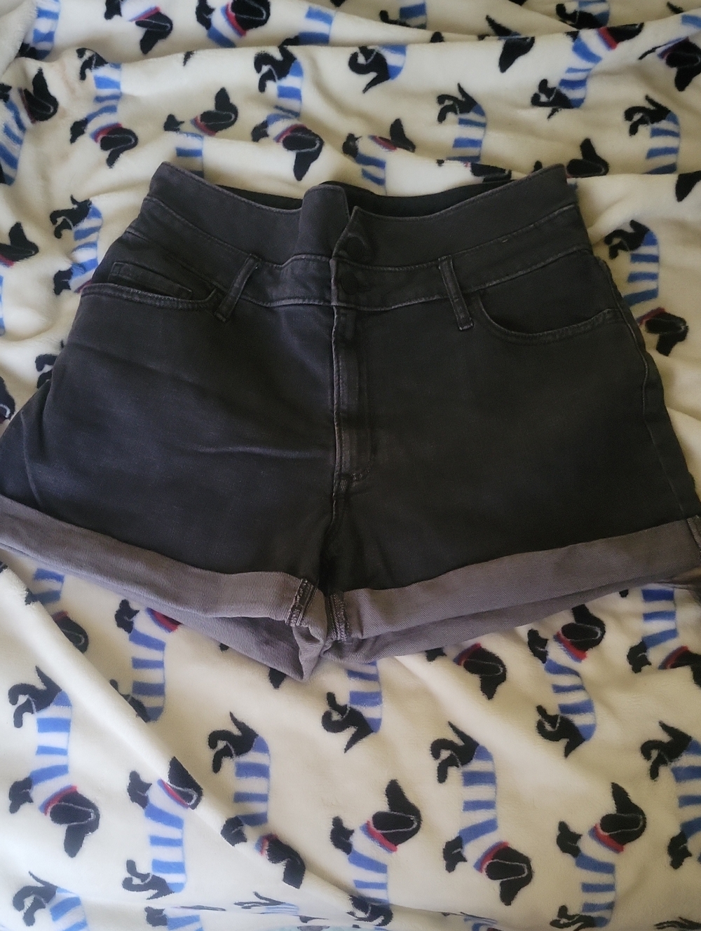 Banana Republic High-Waist Fold Cuff Women's Shorts -  Dark Charcoal Gray/Black